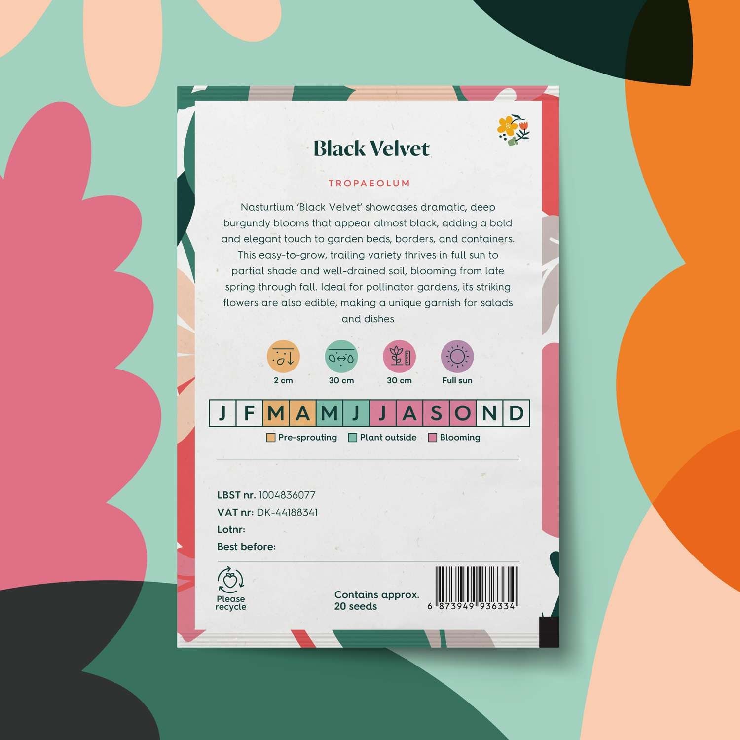 Krassi 'Black Velvet' (siemen)