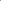 Daalia 'Café au Lait Rosé'