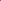 Krookus 'Whitewell Purple'