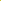 Narsissi 'Quail'