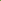 Tulppaani 'Green Power'