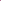Hyasintti 'Pink Pearl'
