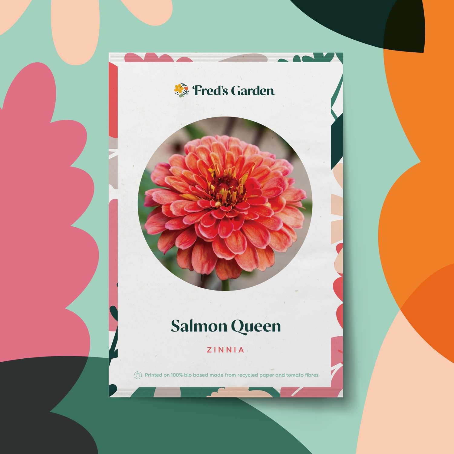 Zinnia 'Salmon Queen' (siemen)