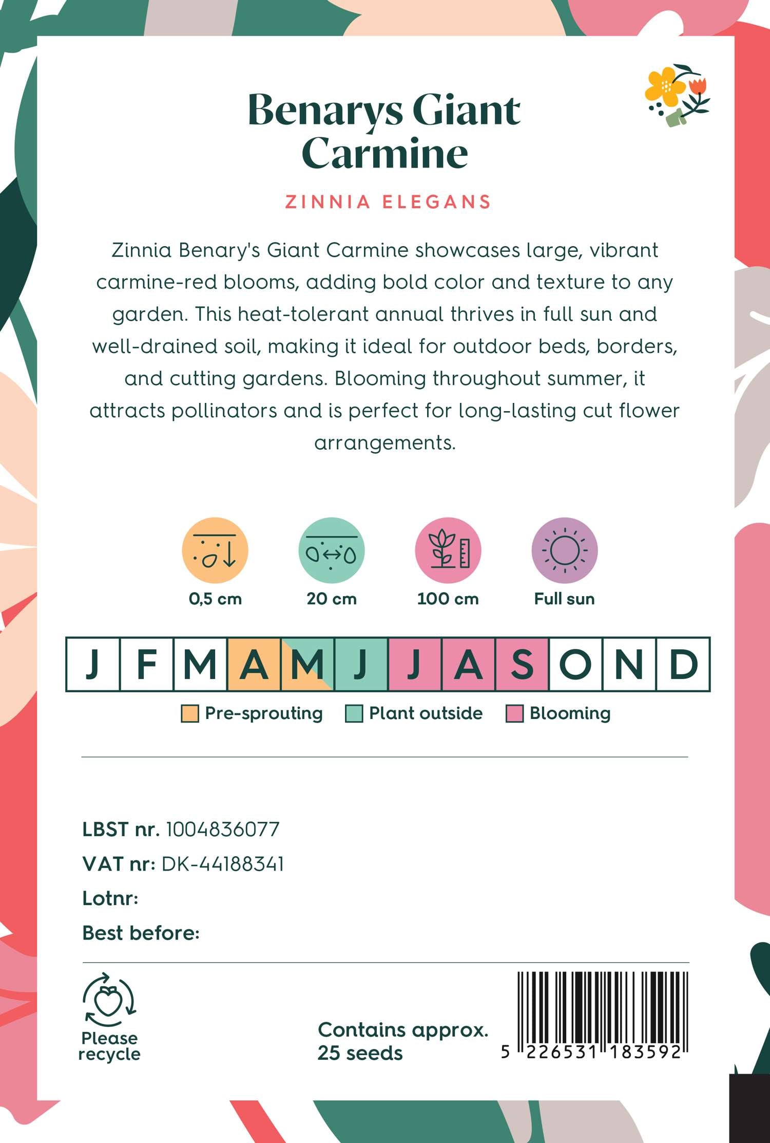 Zinnia 'Benary's Giant Carmine' (siemen)