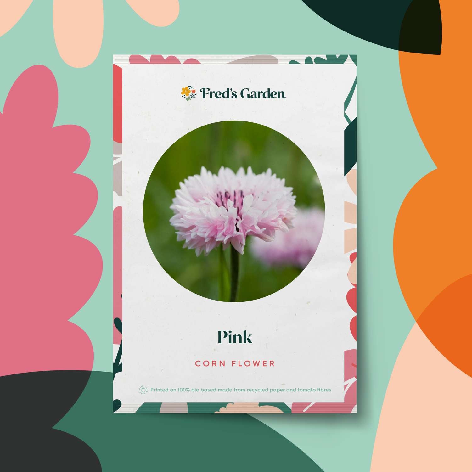 Ruiskaunokki 'Pink' (siemen)