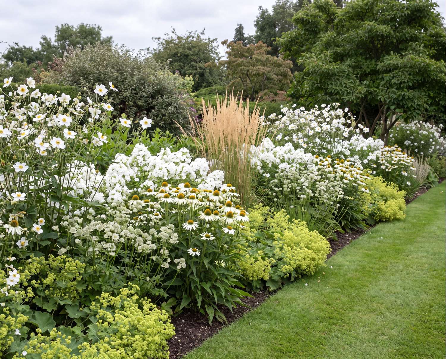 Perennapaketti 'Kuutamo' (1,5-2m²)